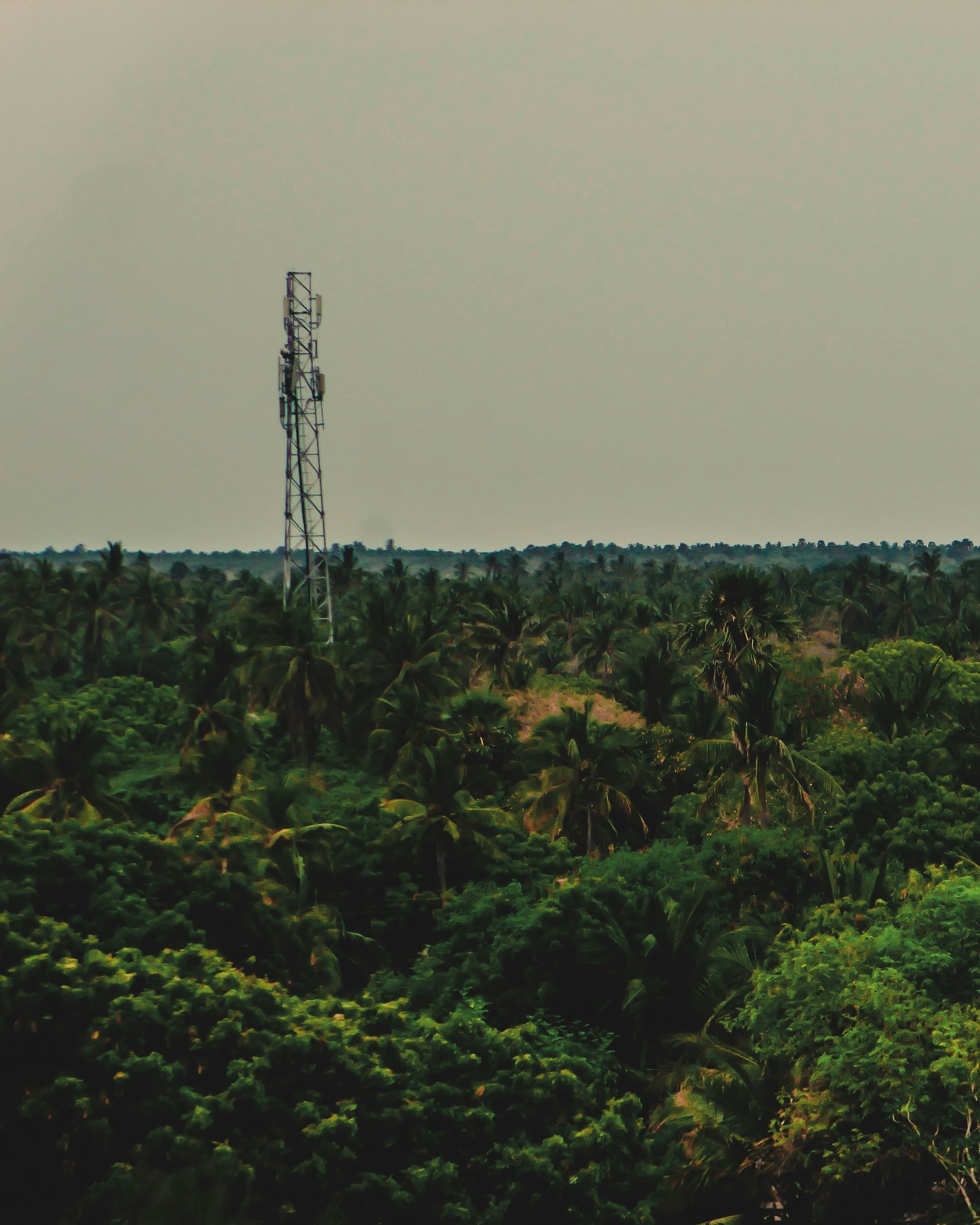 Telecommunications tower with network connectivity over African landscape